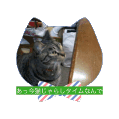 mei_20250216082424