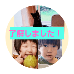 yuki_20250215144851