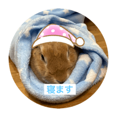 hitomi_20250215144024