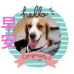 你好小可愛