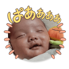 ryoeluyou_20250215210434