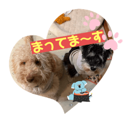 rena_20250215210616