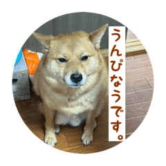 Ohagi_20250215205623