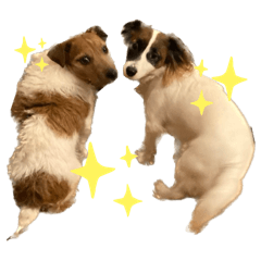 Kukka_20250215225612