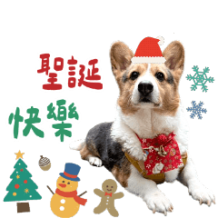 阿肥肥節慶版