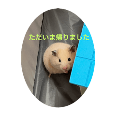 akiko_20250215220512
