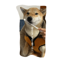 michan_20250215220720