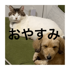 nagi_20250216024707