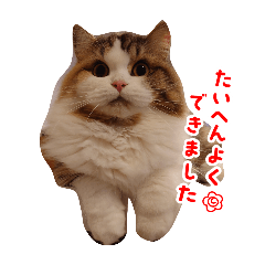 Michiko_20250216110111