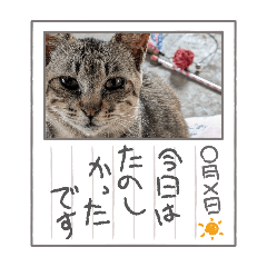 nico_20250215191410