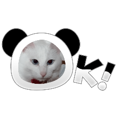 TIMKuro