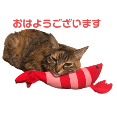 Tyamike_20250215155917