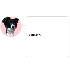 aru_20250215162139