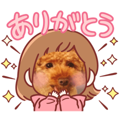 kuriro