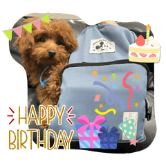 Riho_20250215171339
