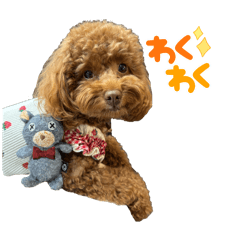 HANA_20250215221848