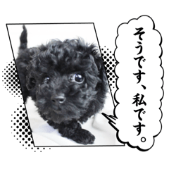 Hayato_20250215181927