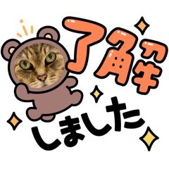 hiroko_20250215182708
