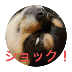 Derin_20250215233755