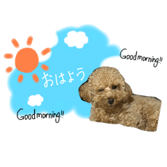 mori_20250215235219