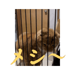 Shige_20250216101712