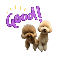 SOYmaru_20250216001826