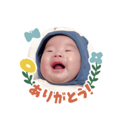 koto_20250216010840