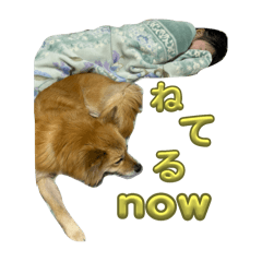 Saya_20250216014730