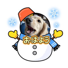 choco_20250215224438