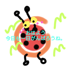 chocotopu