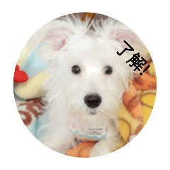 yumarin_20250216125509