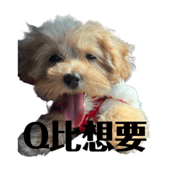 Q比賣萌