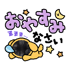 ka_20250214202513