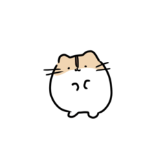 hamster  kinako's friends