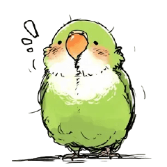 手繪風鸚鵡⭐無字