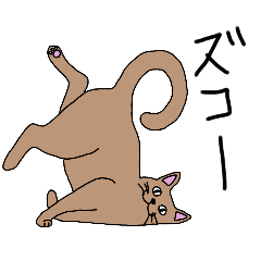 funny pose of brown cat