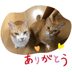 Twin Ginger Tabby Cats Stickers 2