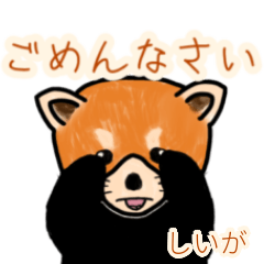 Shiiga's lesser panda