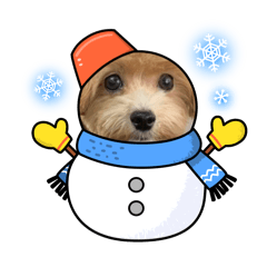 hinata_20250216143906