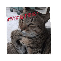 貼圖有狗