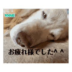 Tanaka_20250216174929