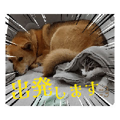 kyon_20250216195820