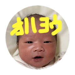 Shun_20250215105326