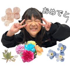 emi_20250216134621
