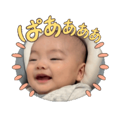 moe_20250216225243