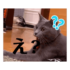 abc_20250217023721