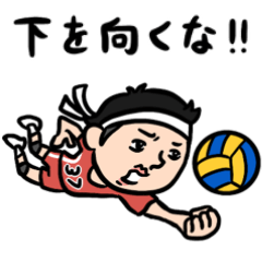 Volleyball Men