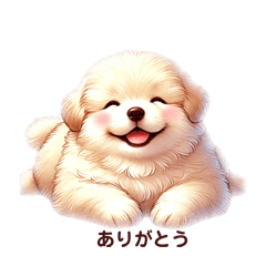 fluffy cute dogs