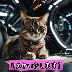 Cat Working in Space2