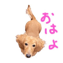 Yuki_20250216175531